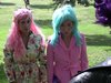 Holograms 1