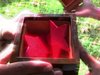 Holograms 2